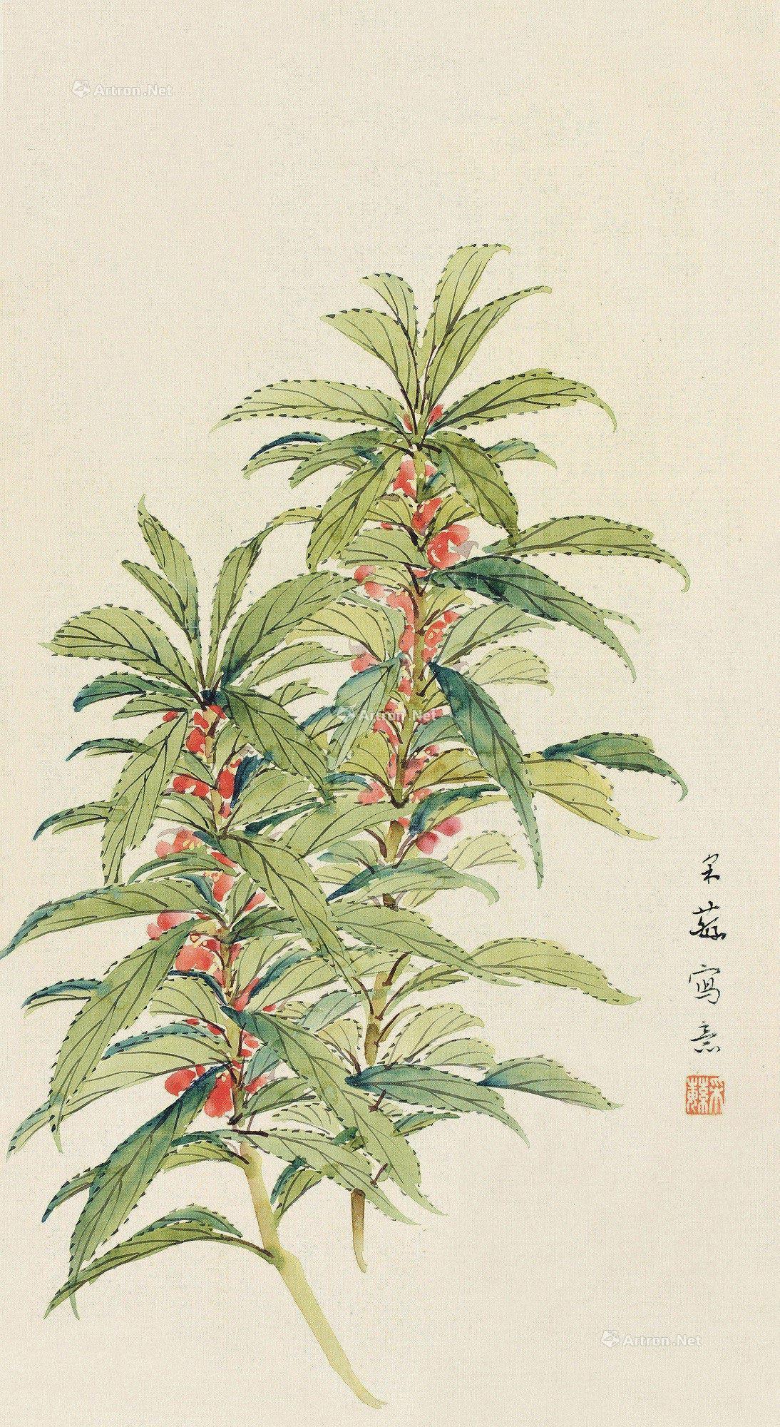 0448凤仙花镜片设色绢本