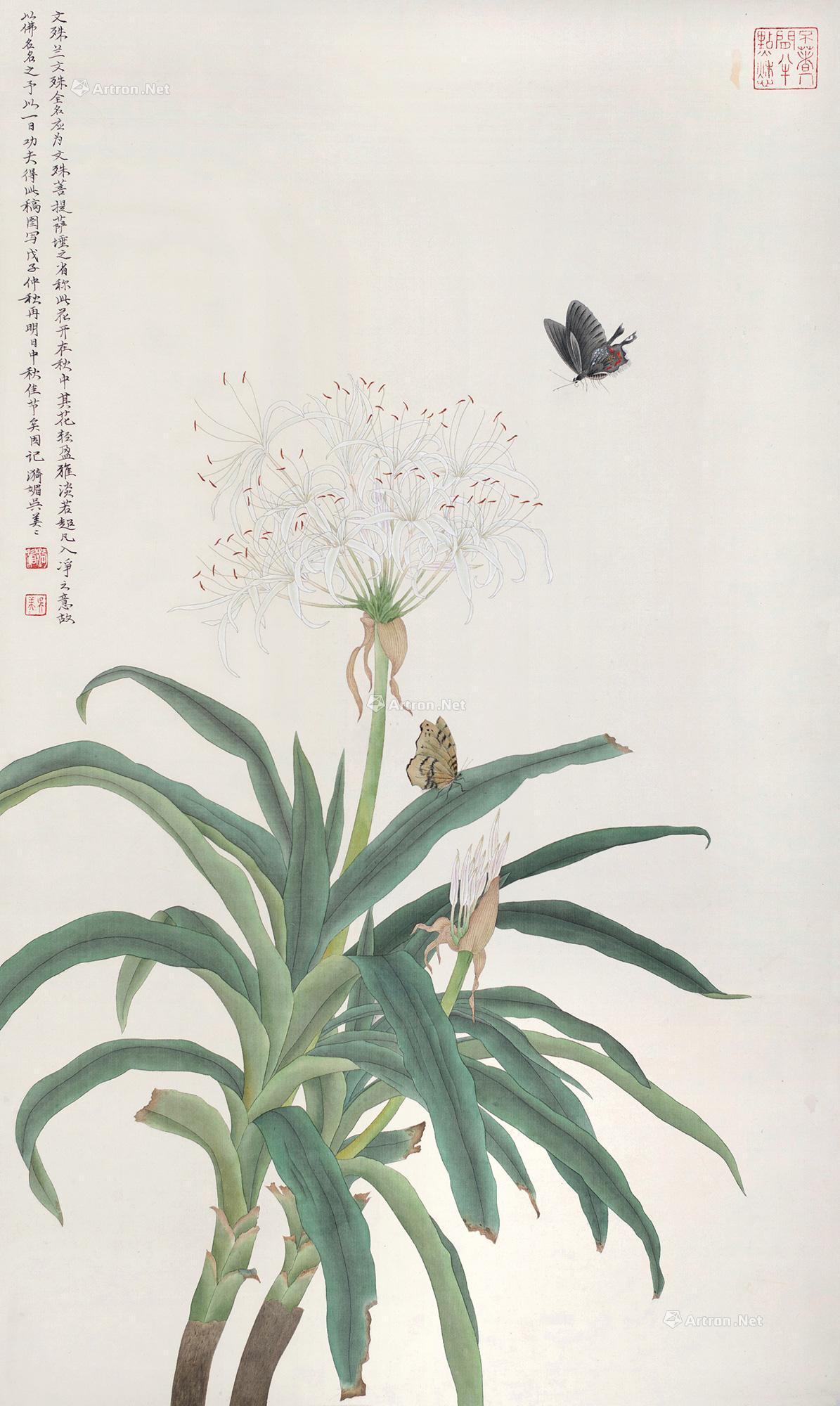 06922008年作文殊兰图镜心设色纸本