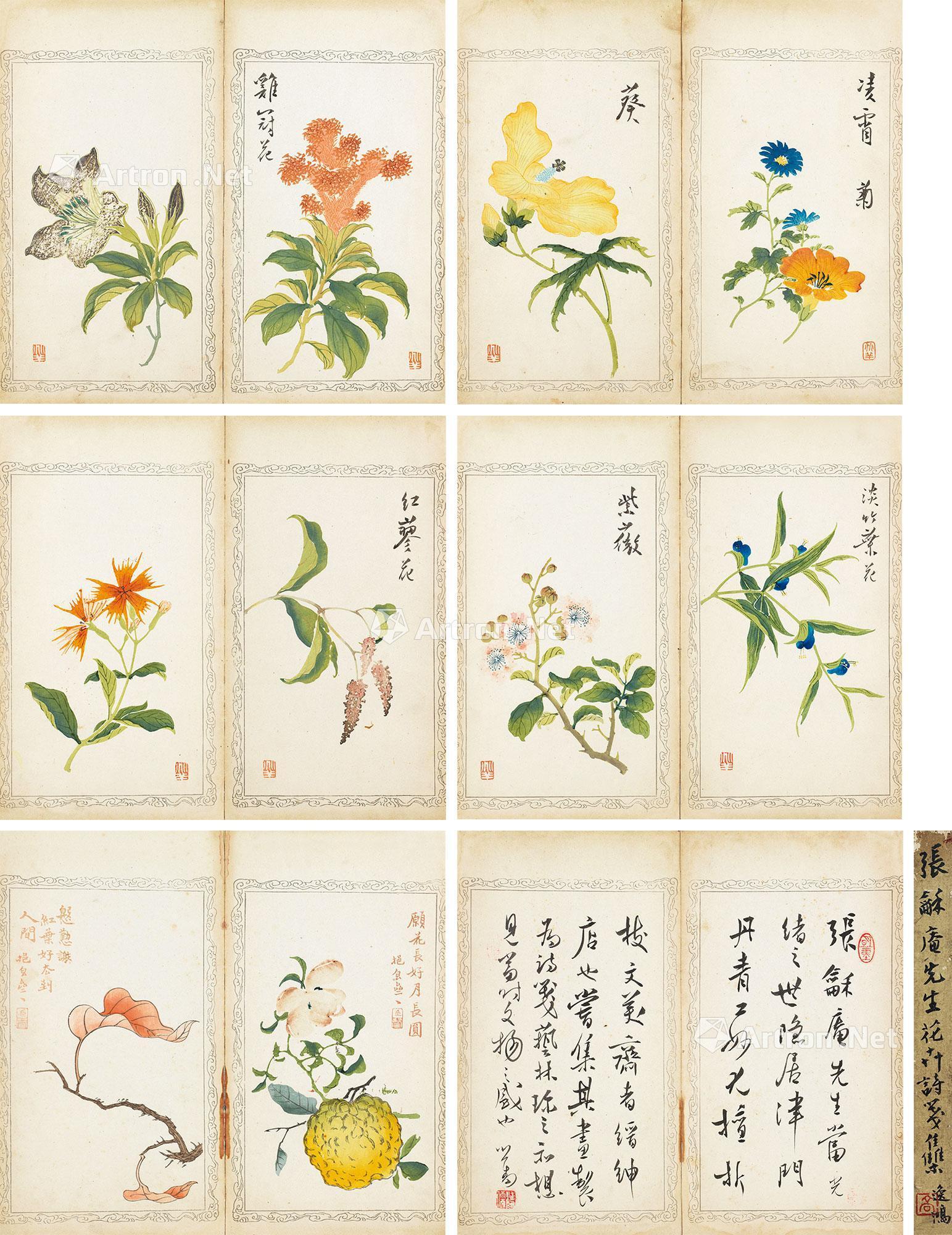 0031花卉诗笺集三十帧选十二册页纸本