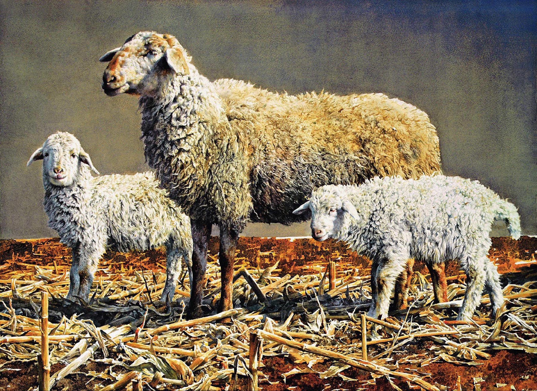 5713b2010年作温情纸本水彩