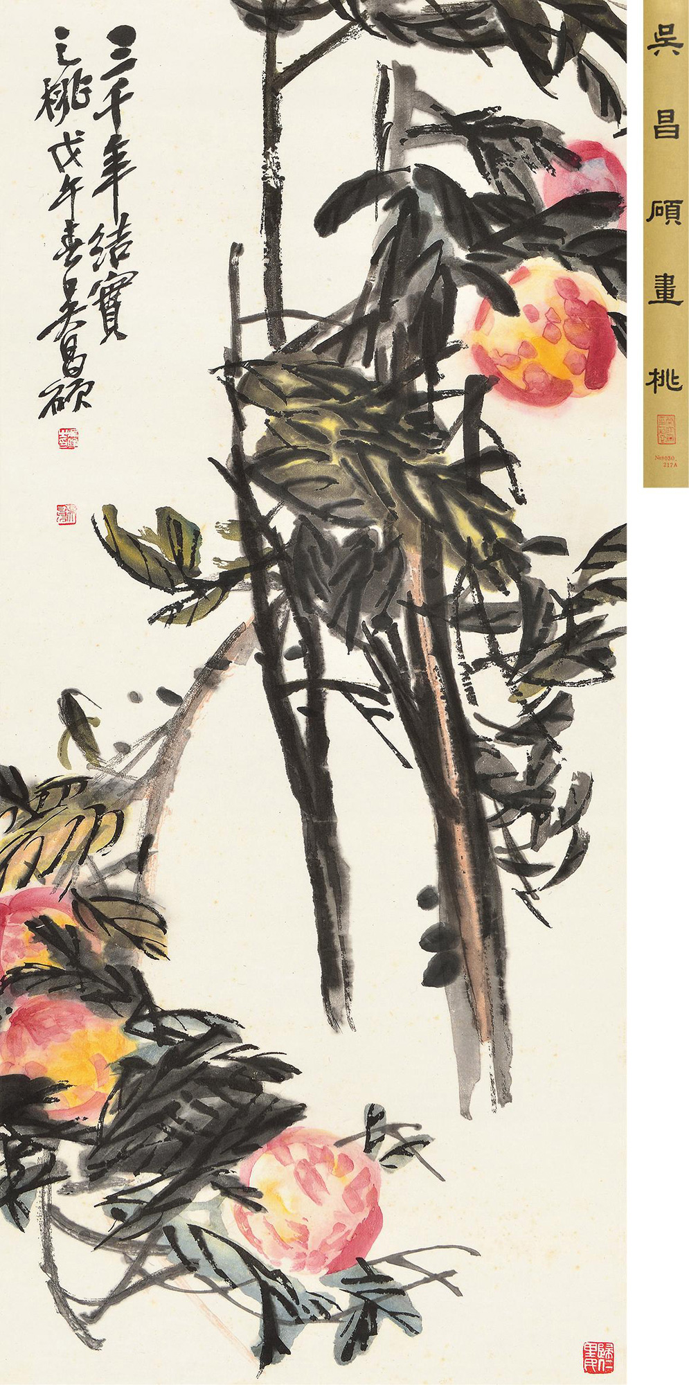 0639吴昌硕绘三千年结实之桃