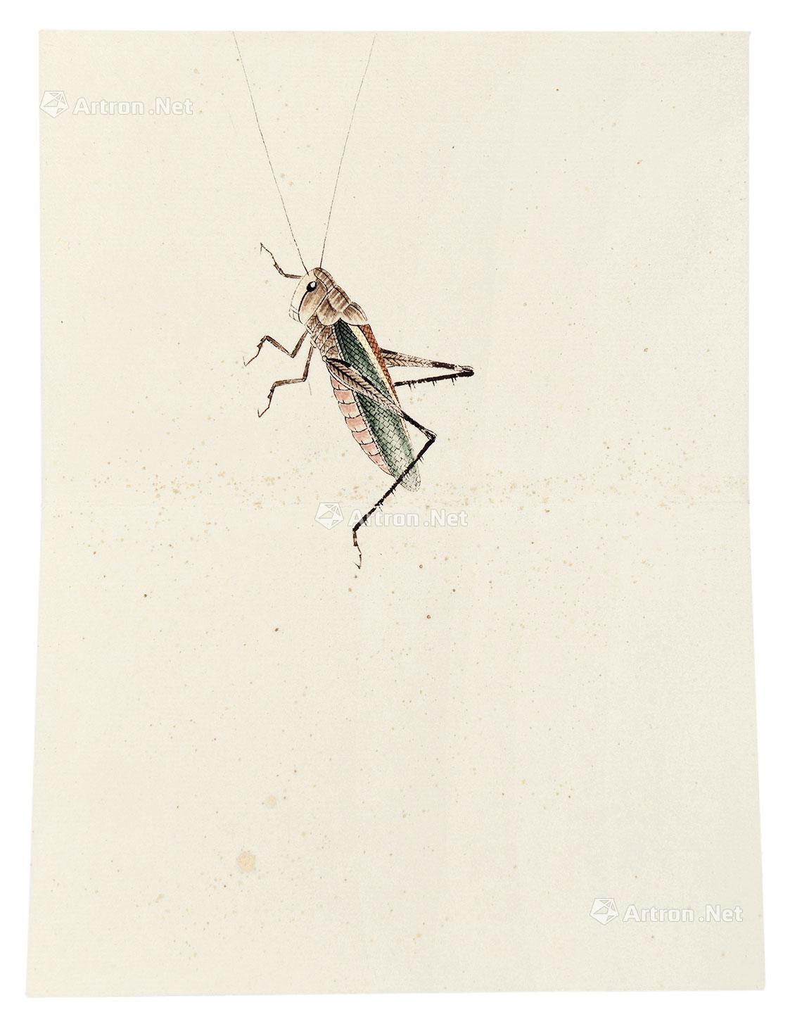 1432齐白石草虫册纸本