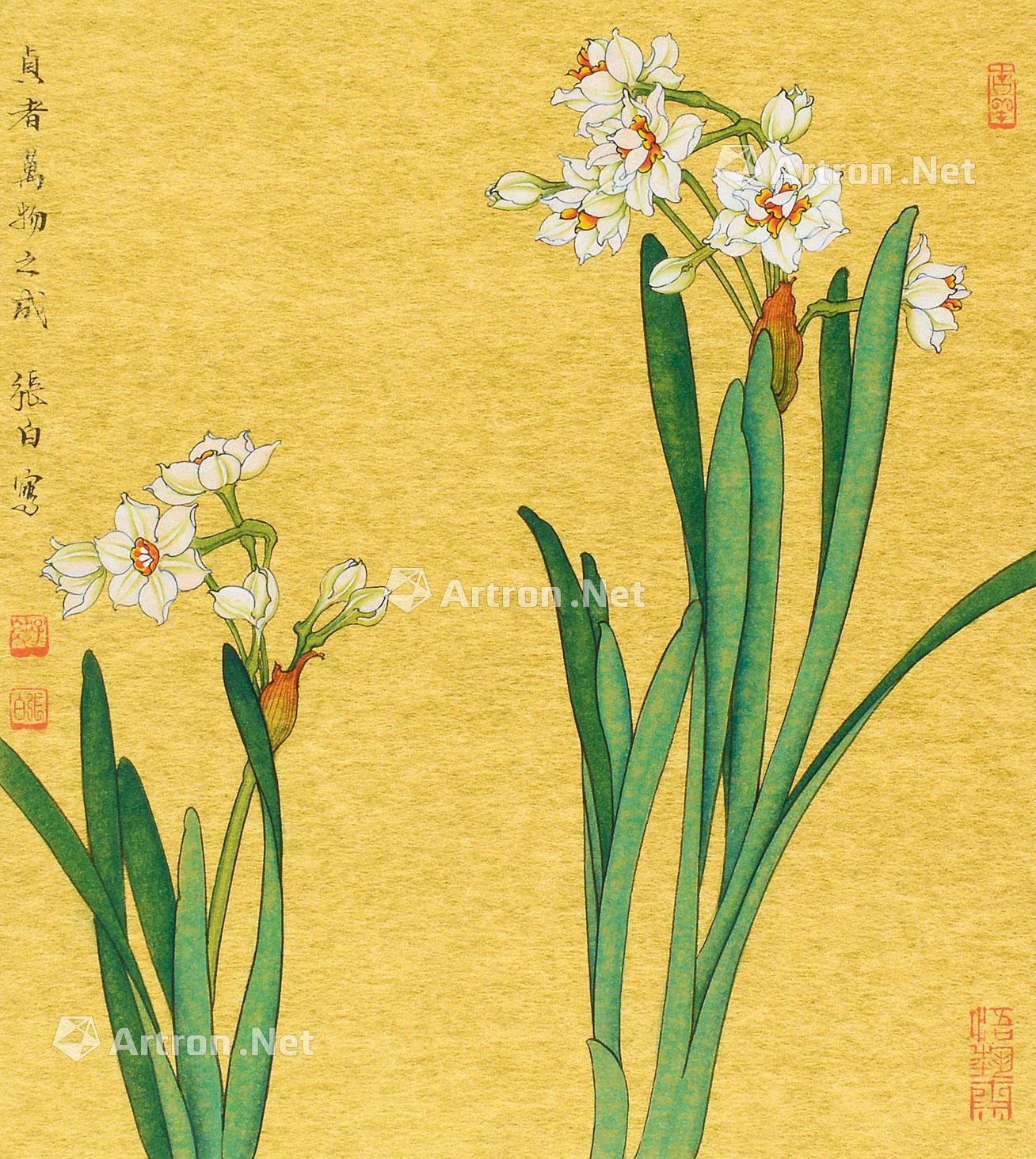 【水仙 镜心 设色金笺】拍卖品_图片_价格_鉴赏_绘画_雅昌艺术品拍卖