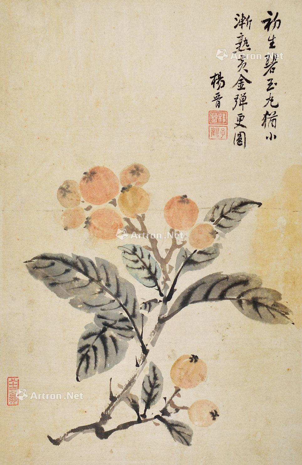 0201枇杷镜片纸本设色
