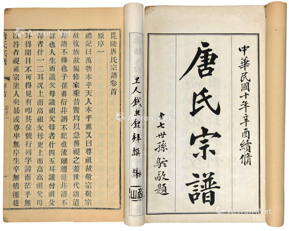 2298 毘陵唐氏宗谱 纸本