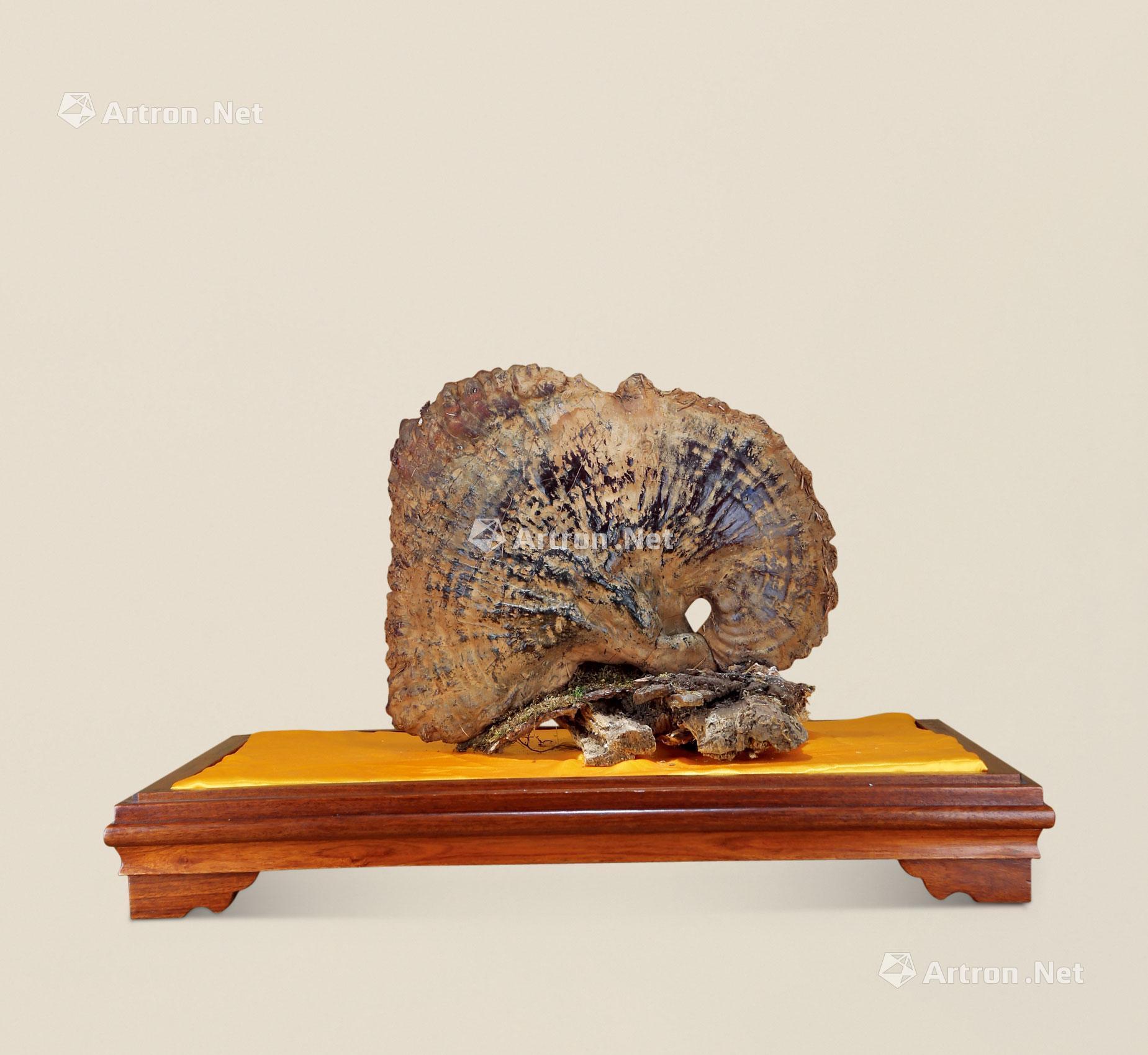 【野生灵芝】拍卖品_图片_价格_鉴赏_工艺品其它_雅昌艺术品拍卖网
