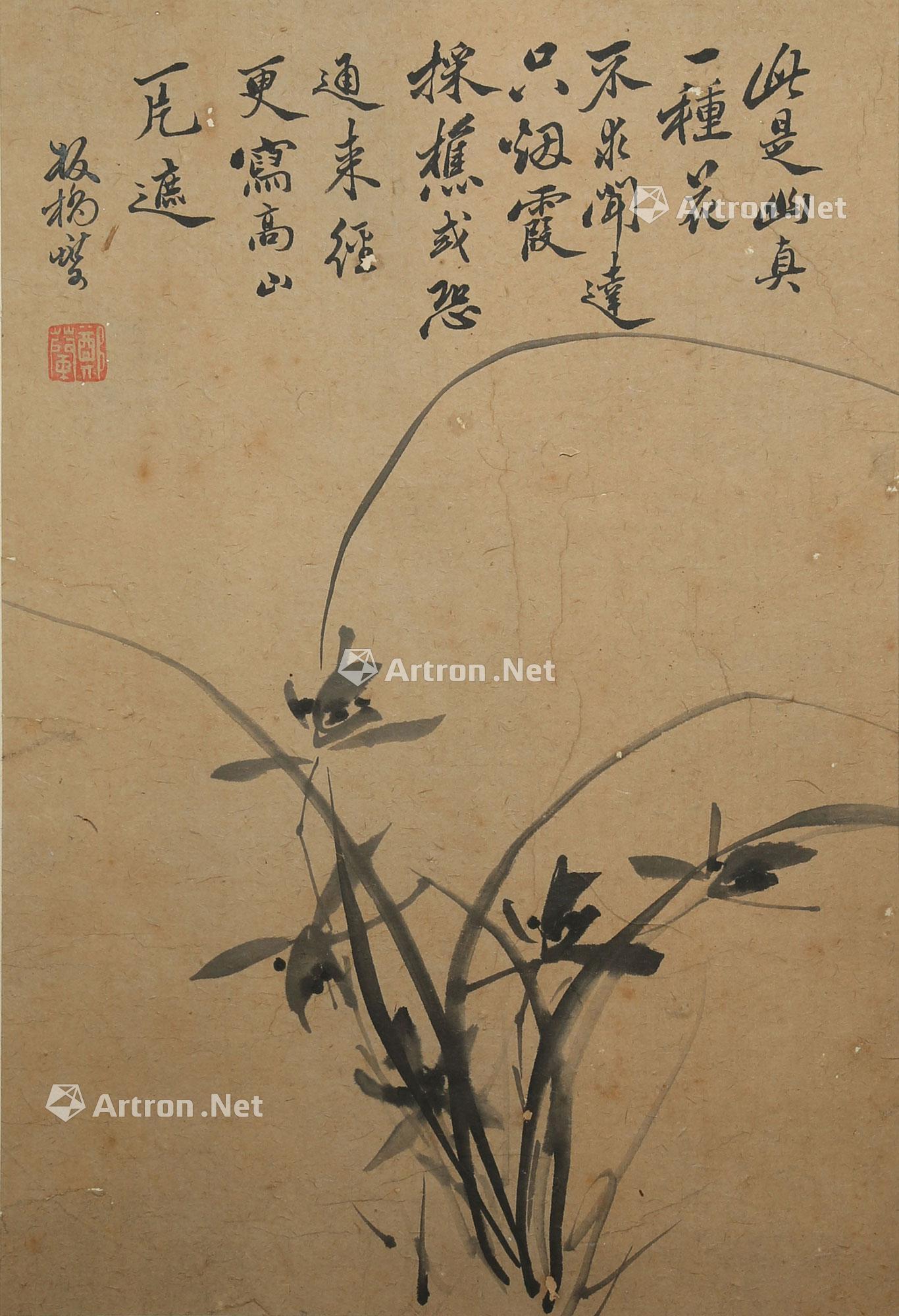 3563 兰花图 水墨纸本