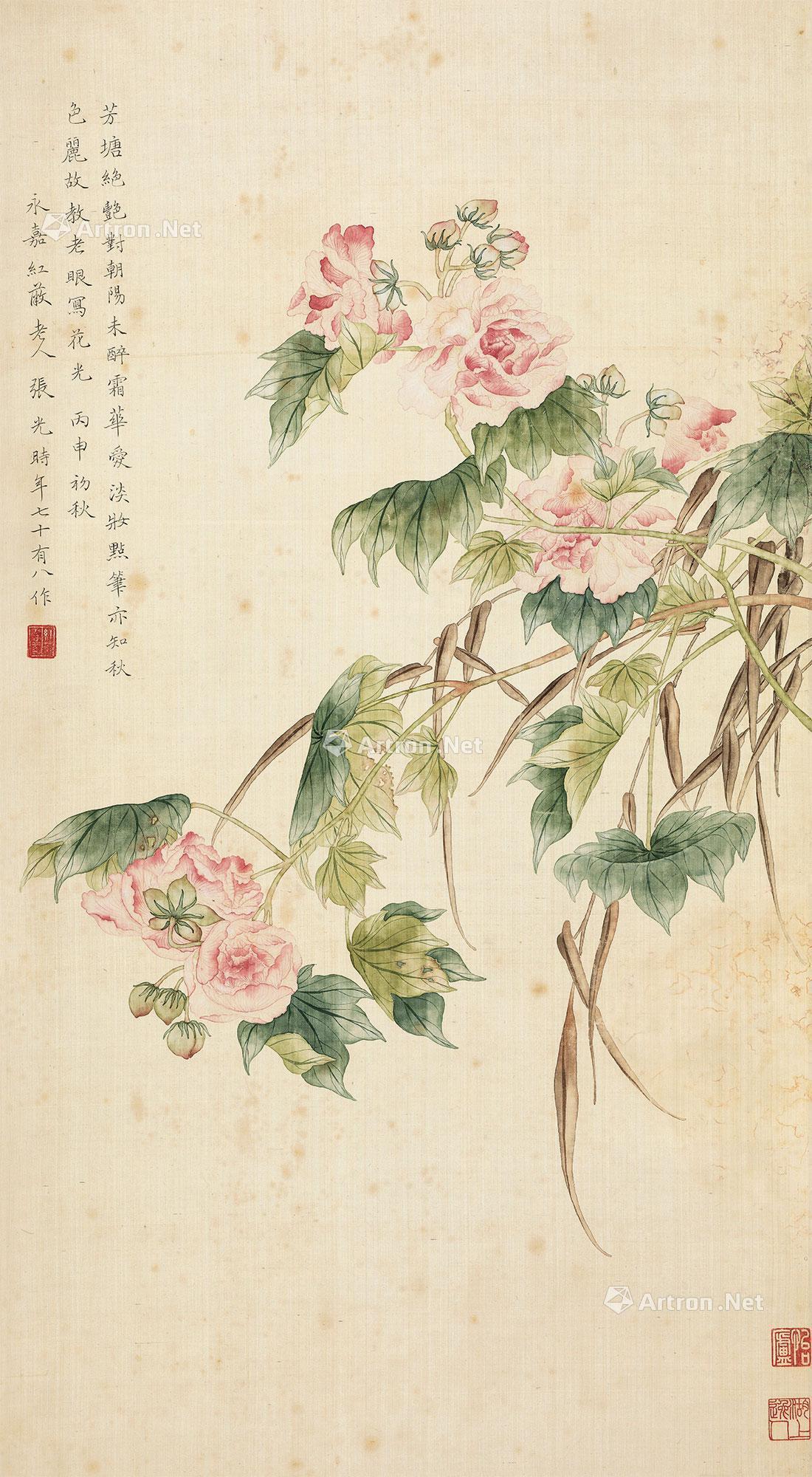 0102芙蓉立轴水墨绢本
