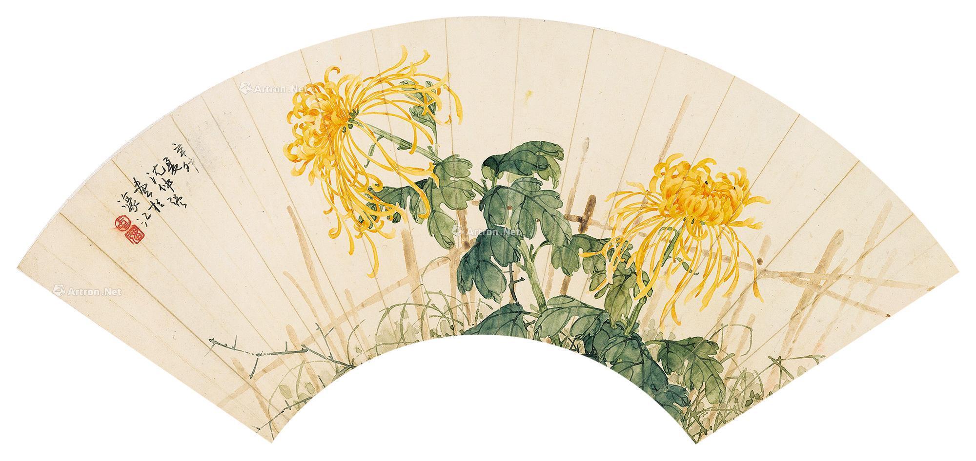 菊花国画扇形图片