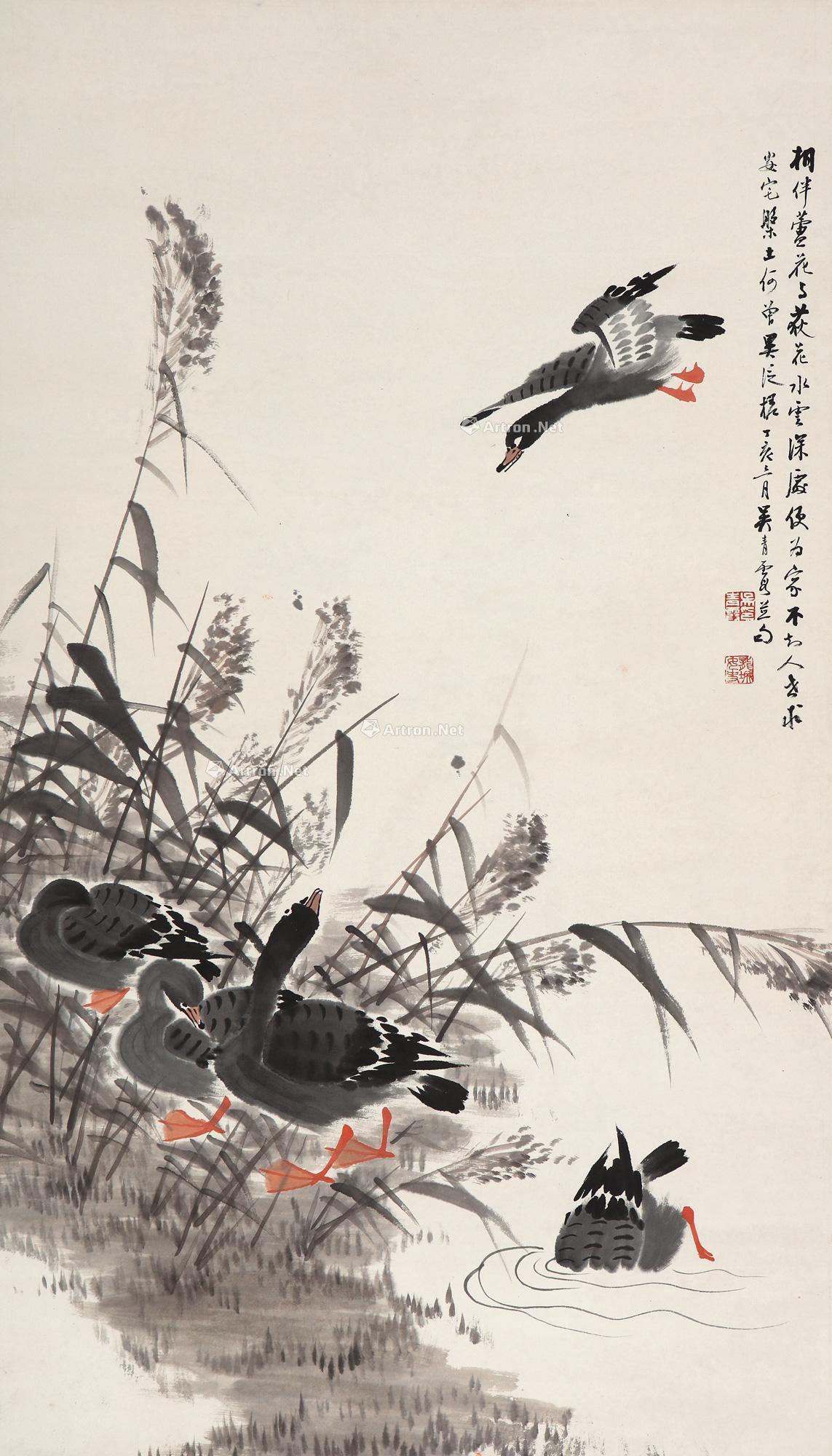 0234 芦雁 立轴 设色纸本