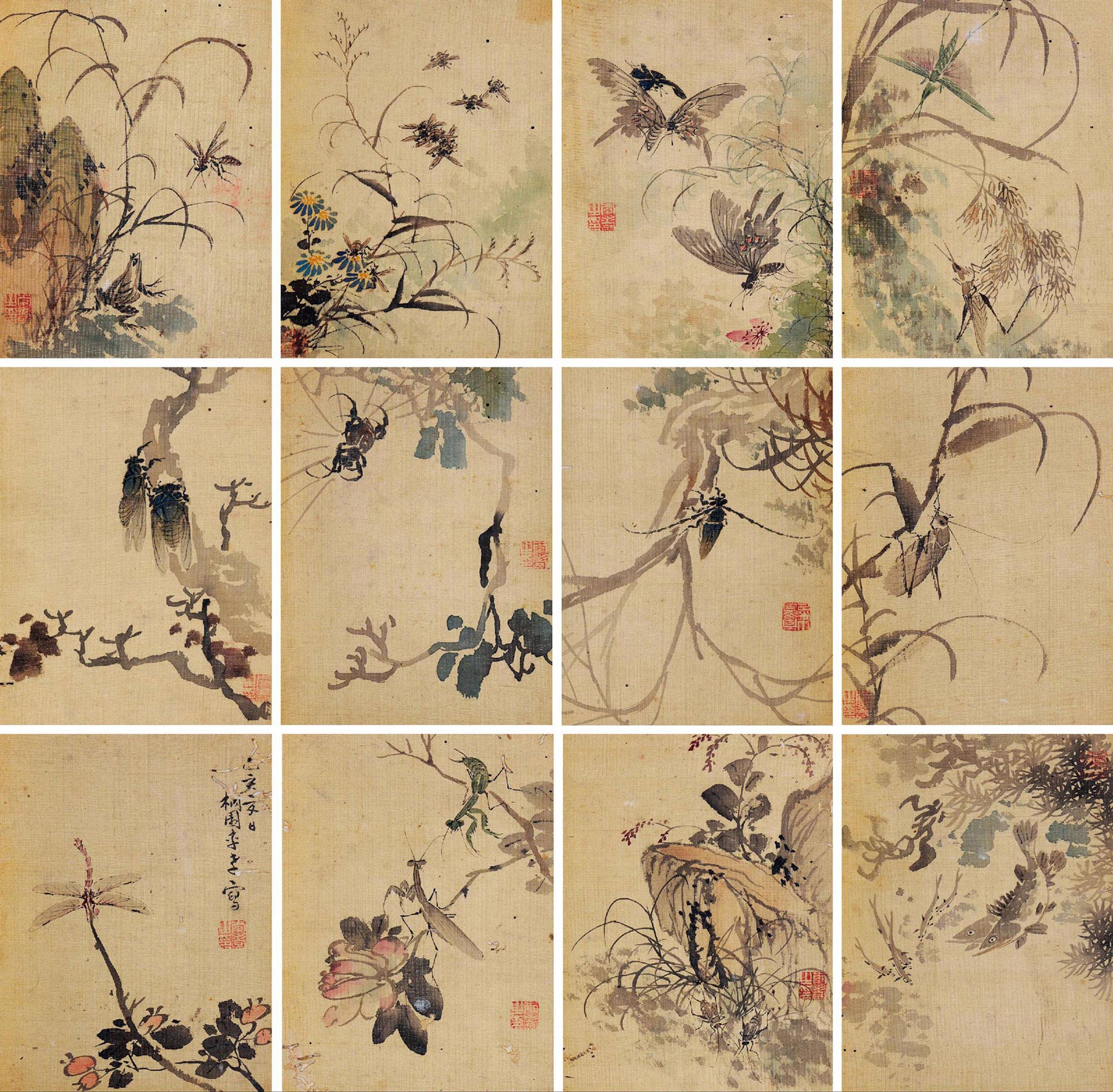 3865花卉草虫册册页设色绢本