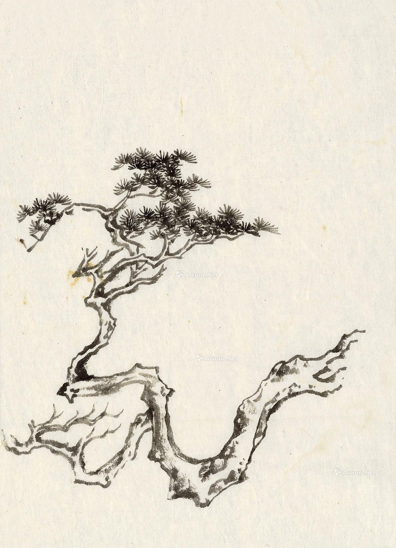 0681松枝图课稿镜片水墨纸本