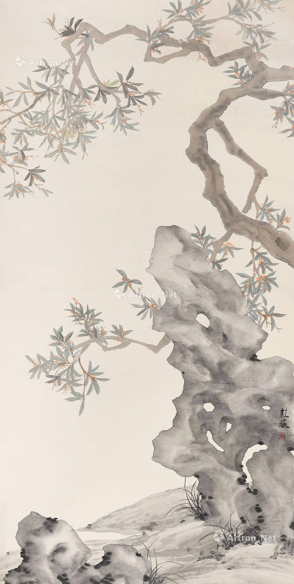 0577桂花镜心设色纸本