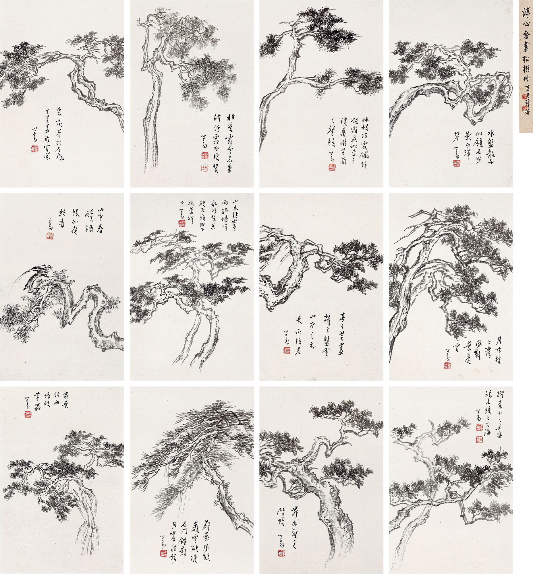 0390古松偃仰册册页水墨纸本