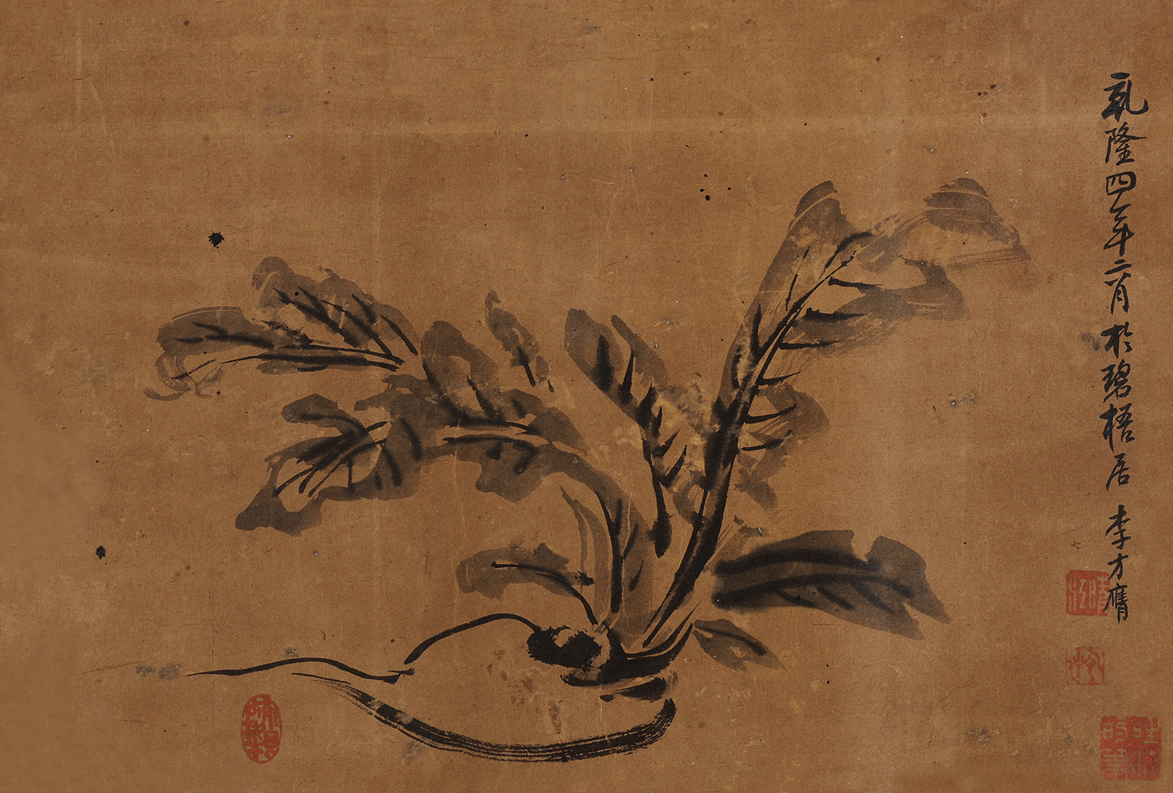 5252 萝卜 镜心 水墨纸本