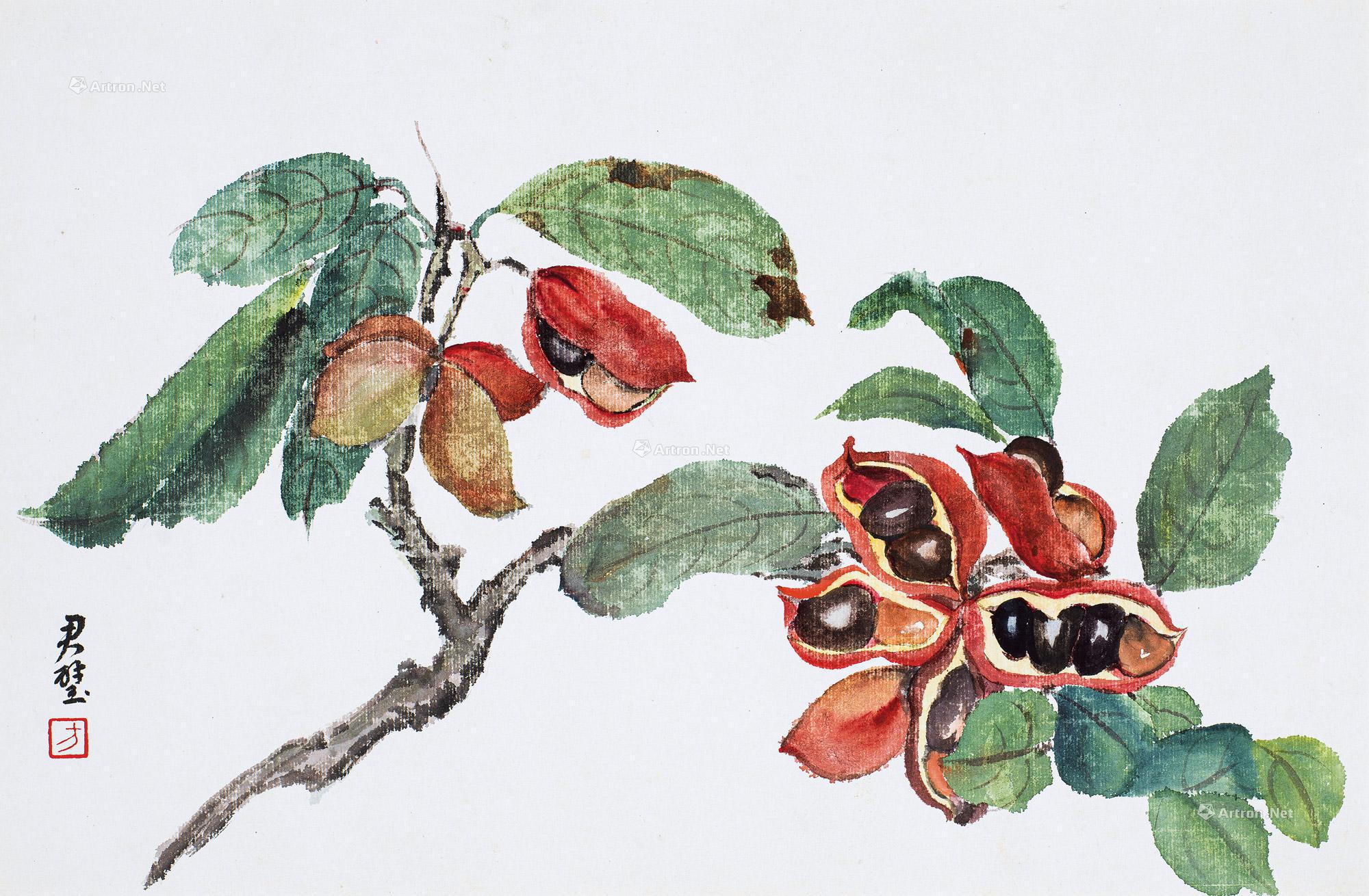 1723豆荚花纸本彩墨