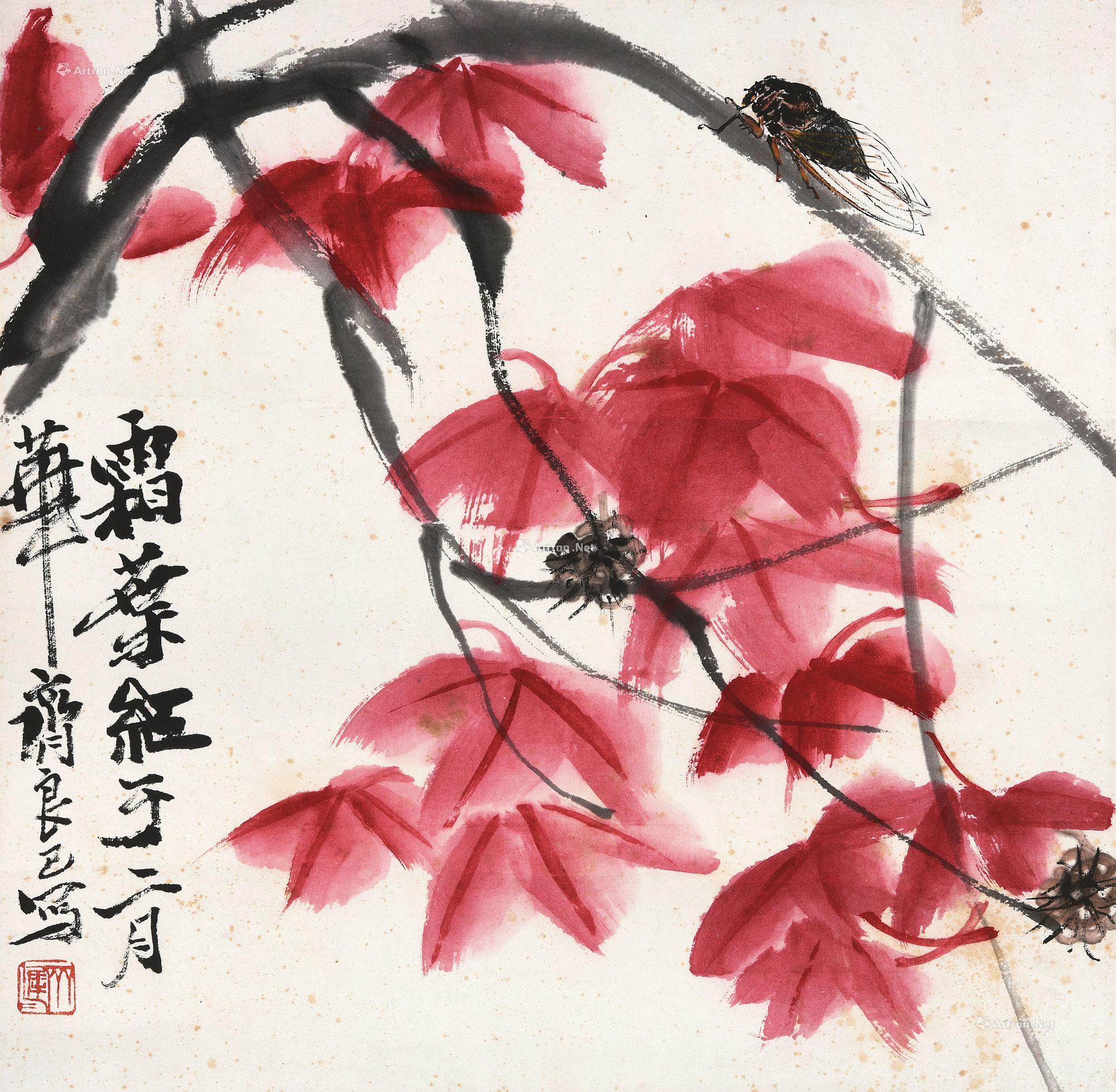 枫叶秋蝉图片