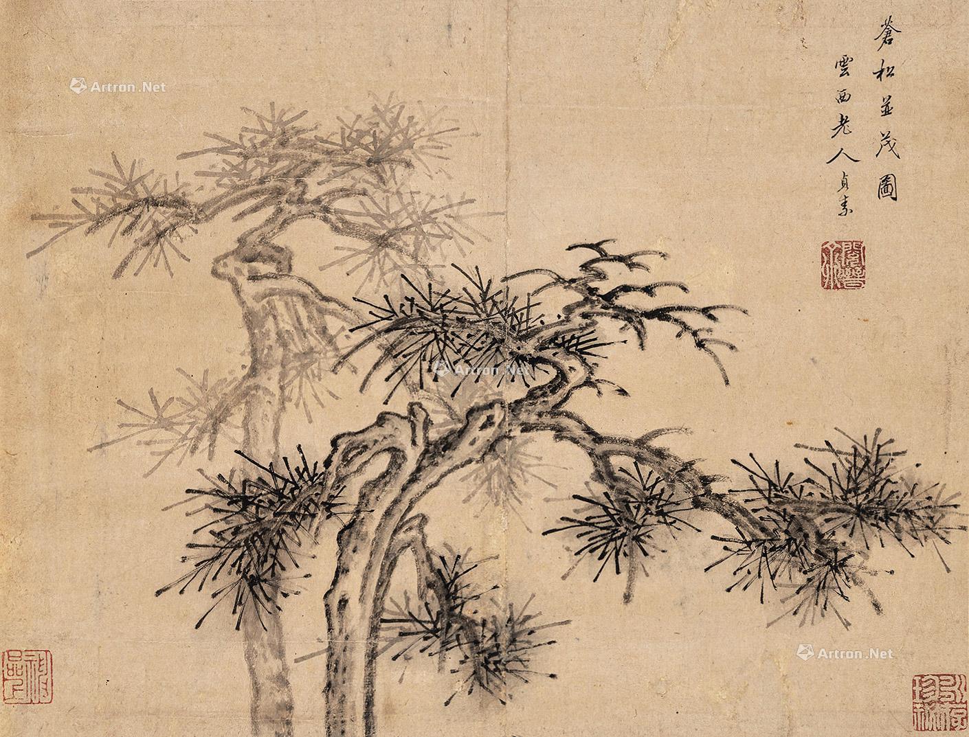【苍松并茂图 立轴 纸本】拍卖品_图片_价格_鉴赏_绘画_雅昌艺术品拍卖网