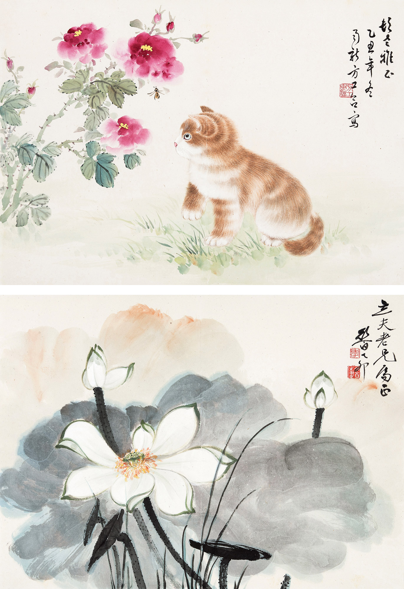 3654牡丹猫咪荷花镜心设色纸本