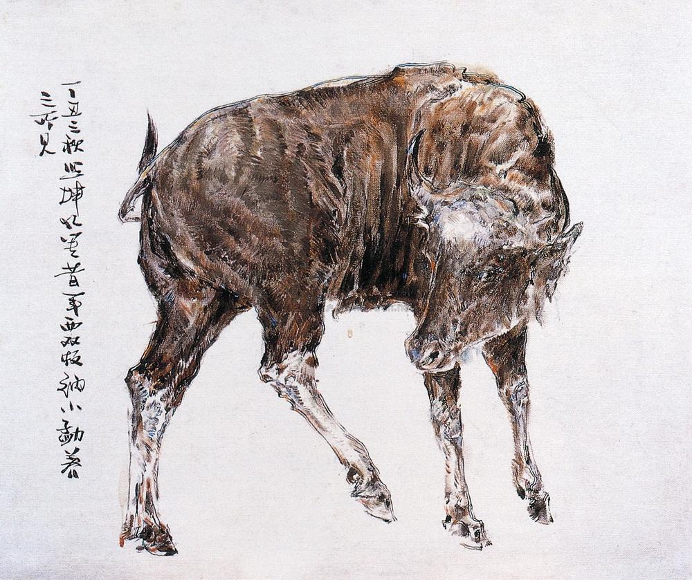 48 野水牛