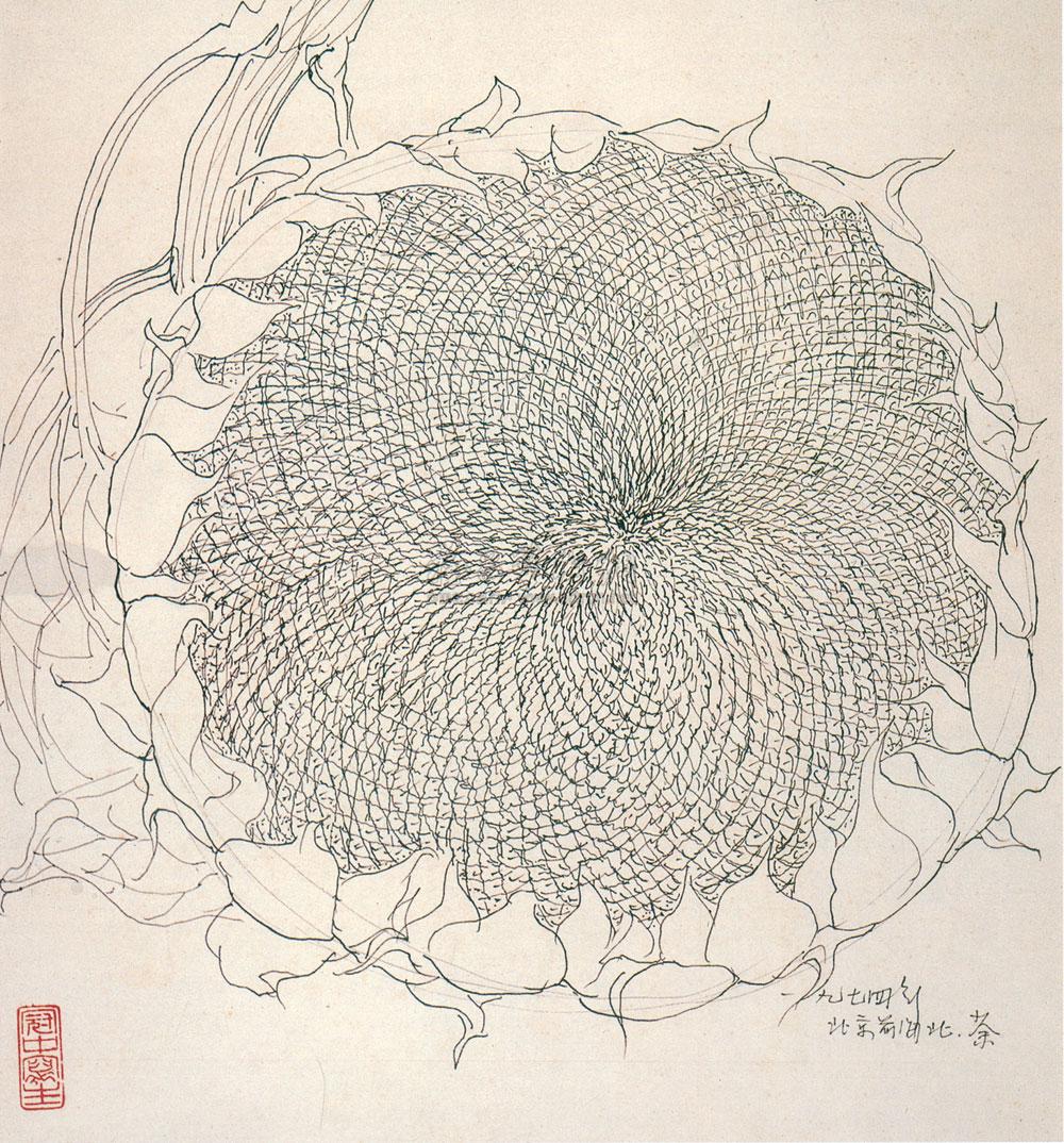 0301 向日葵