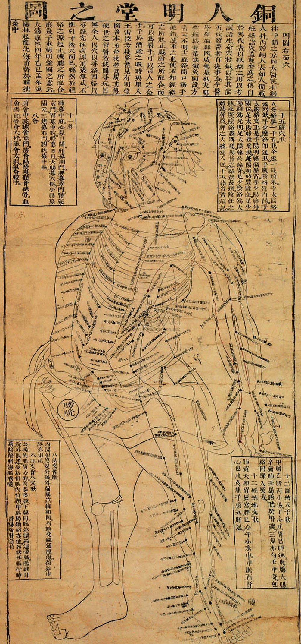 1774铜人明堂之图