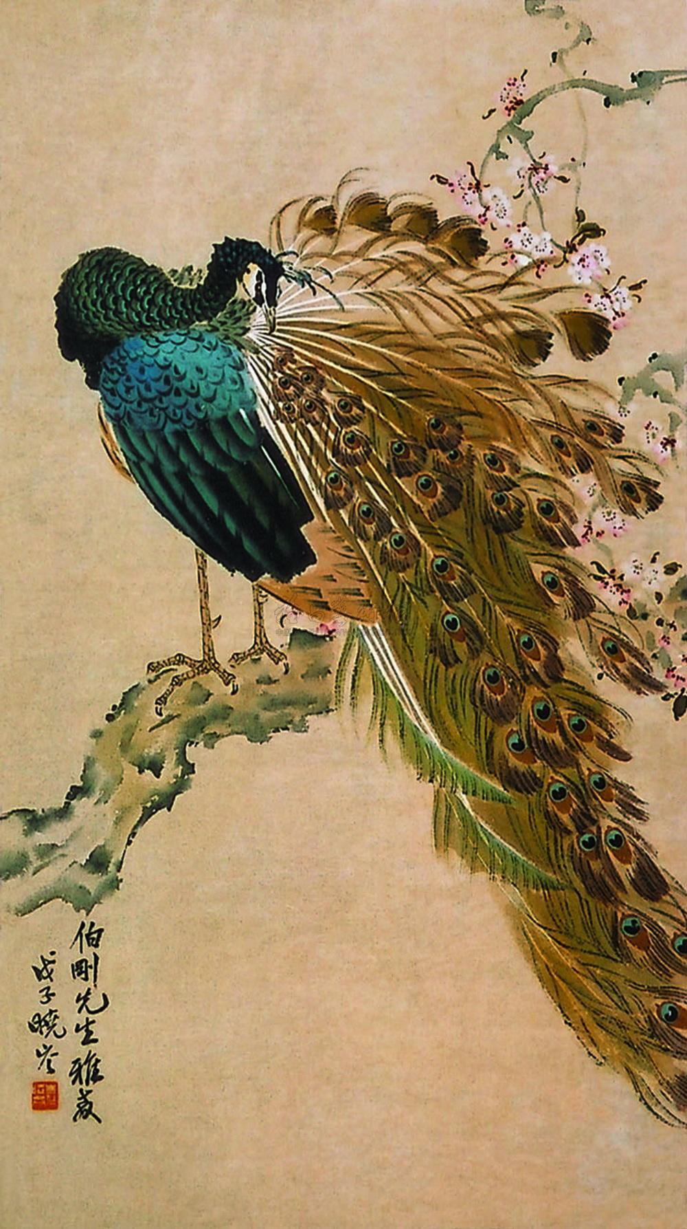 【孔雀 立轴 设色纸本】拍卖品_图片_价格_鉴赏_绘画_雅昌艺术品拍卖