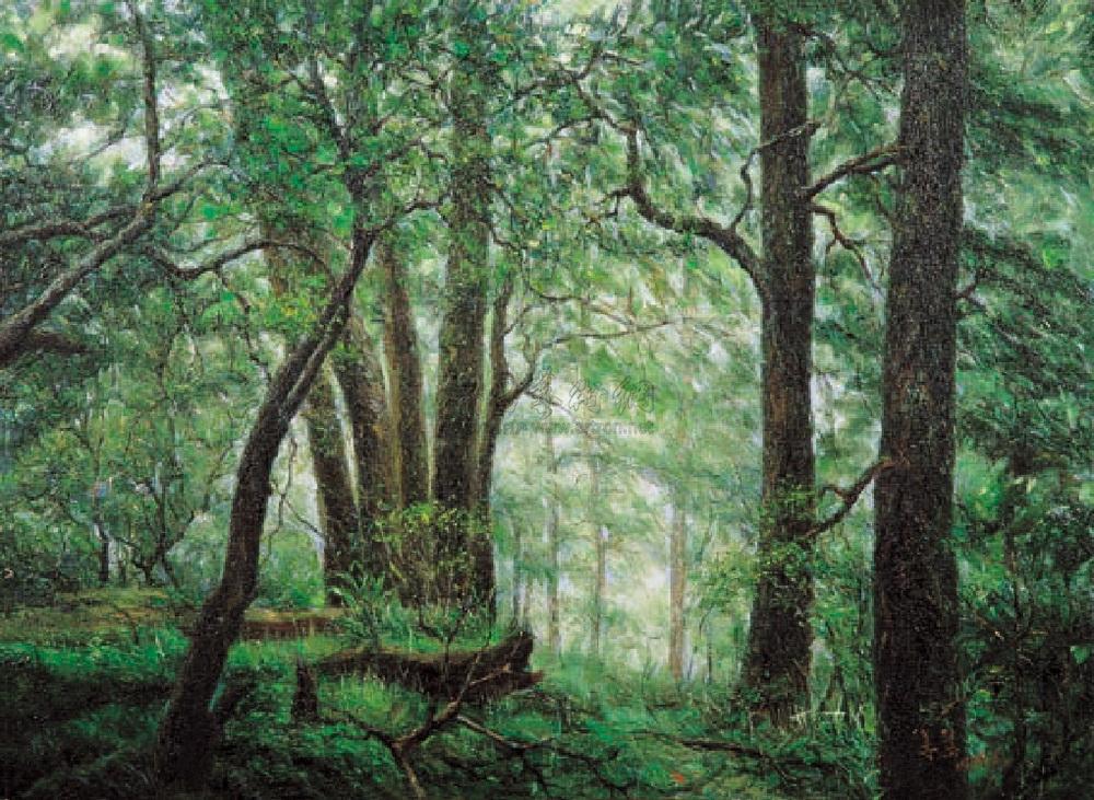 531999年森林中的宁静布面油画