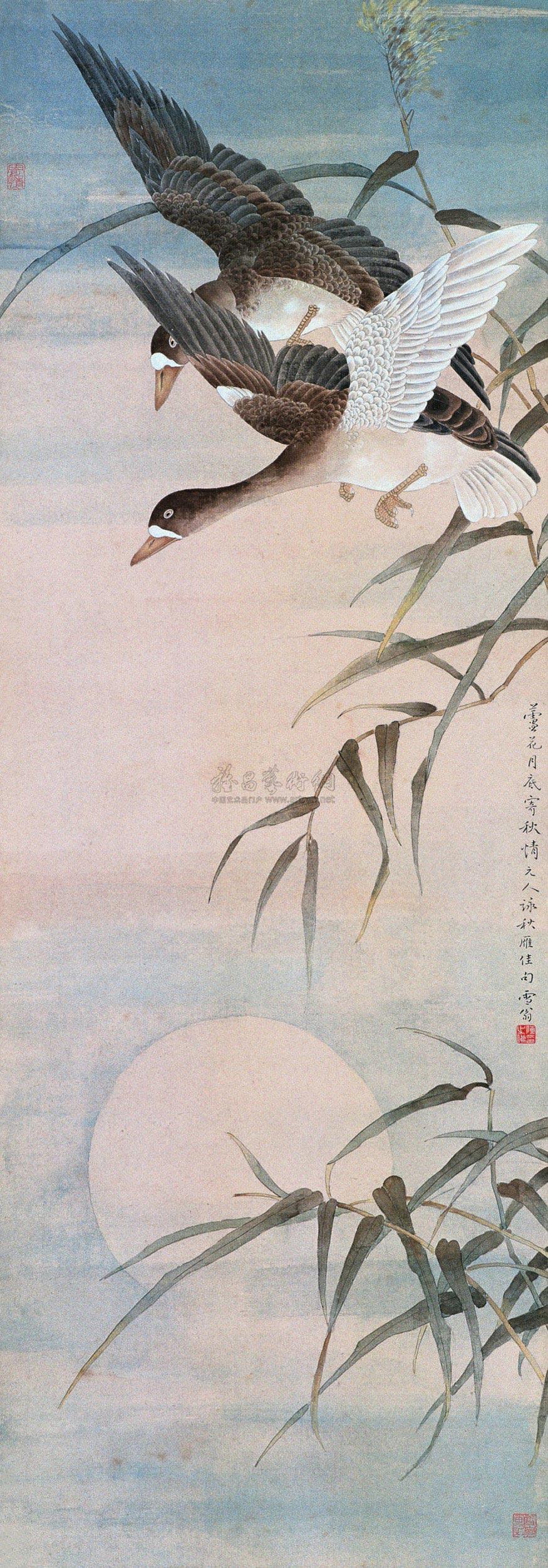 宁波月湖双燕图图片
