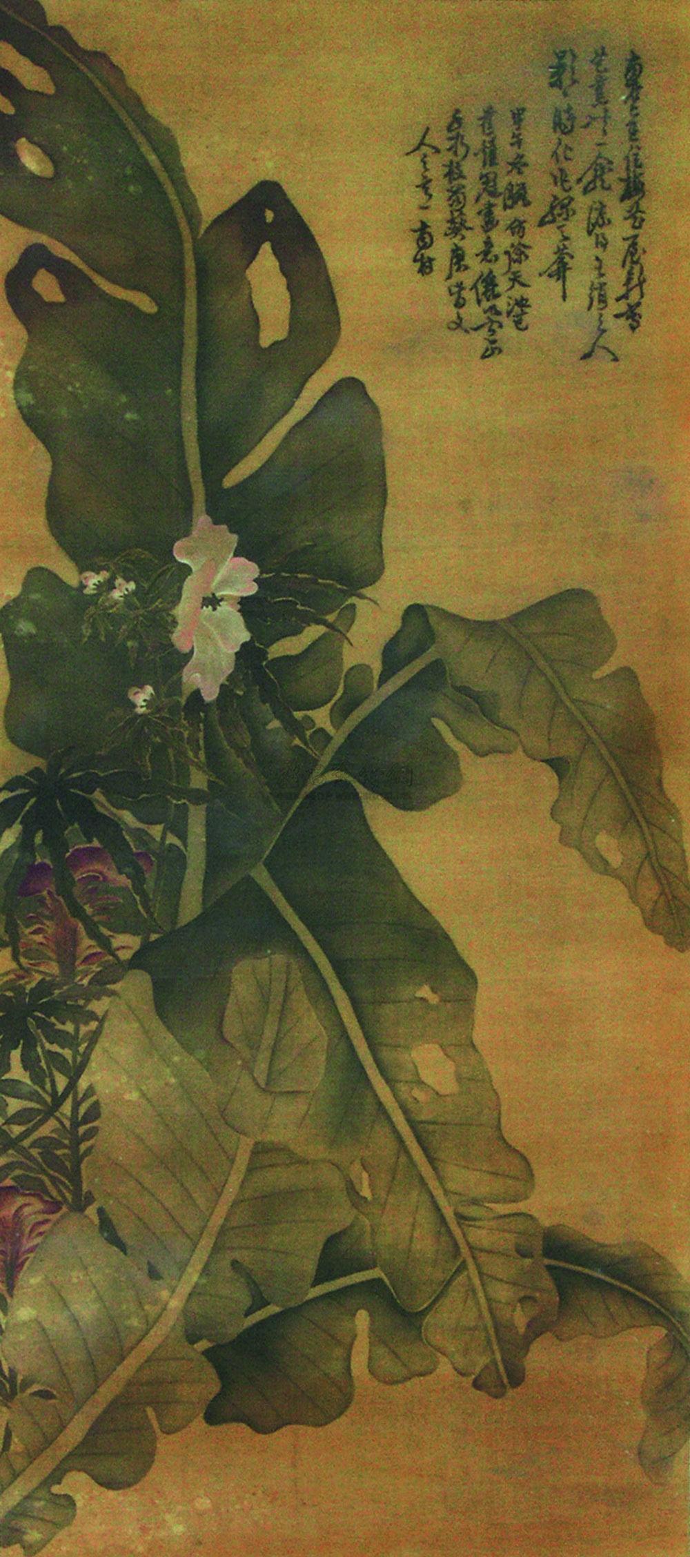 0511芭蕉立轴设色绢本
