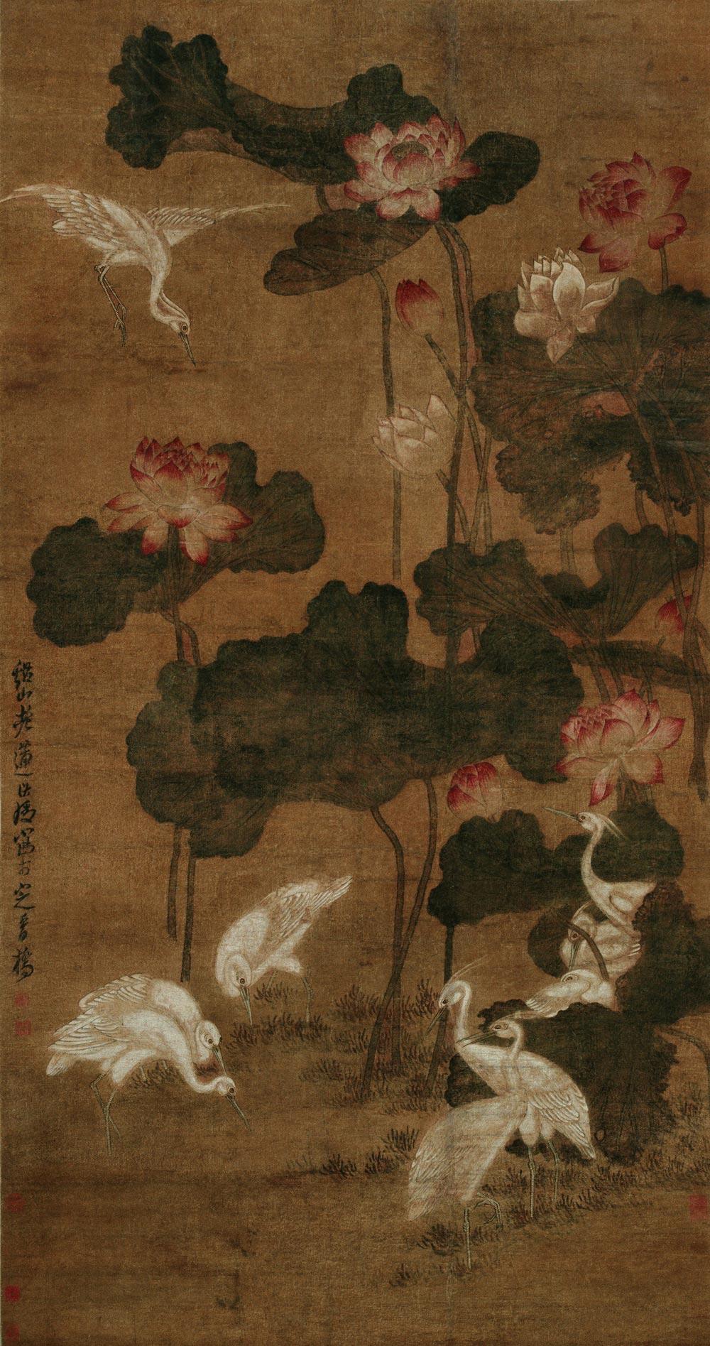 0559荷花白鹇立轴设色绢本