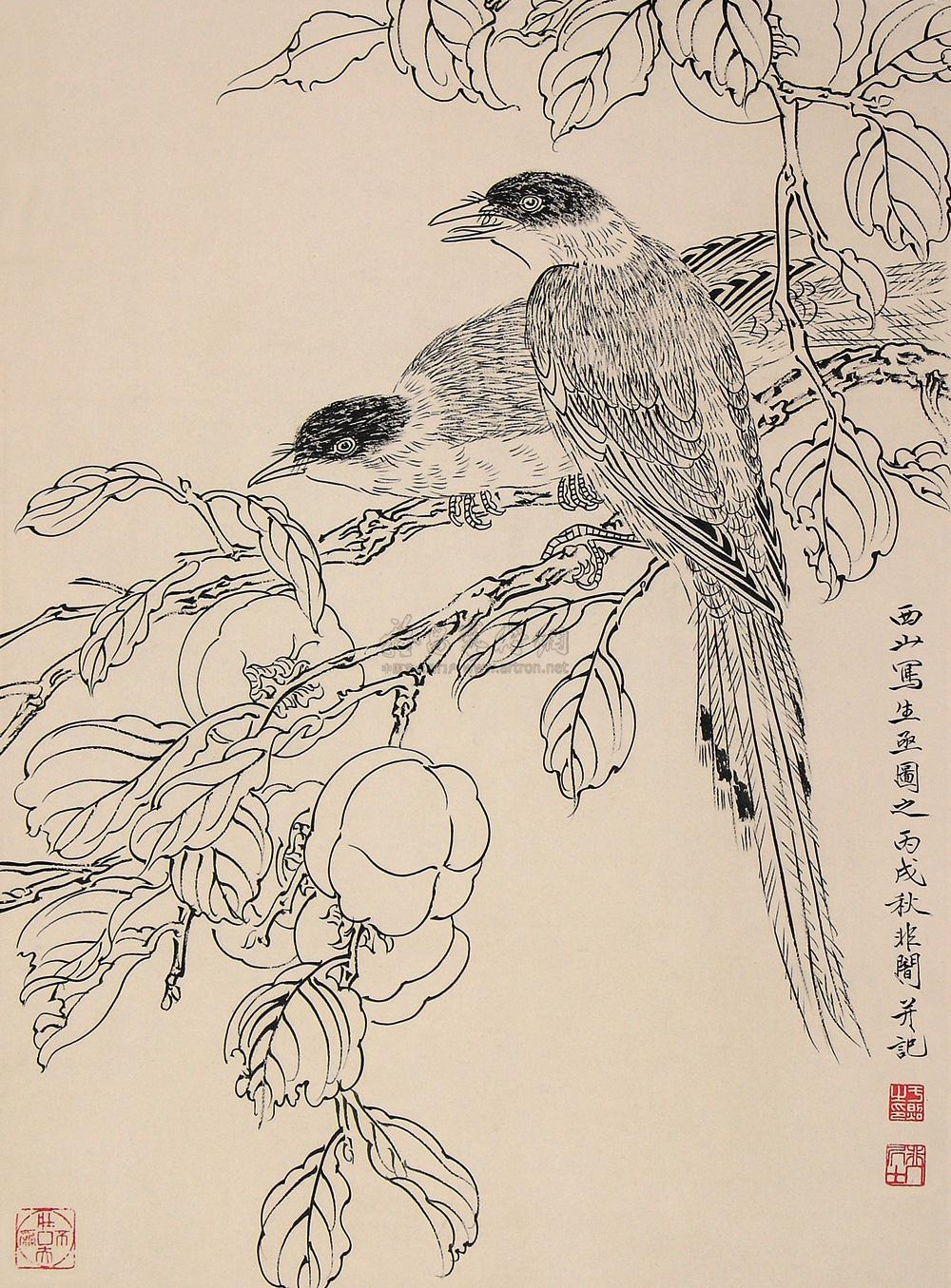 0545 白描花鸟(西山写生) 立轴 水墨纸本