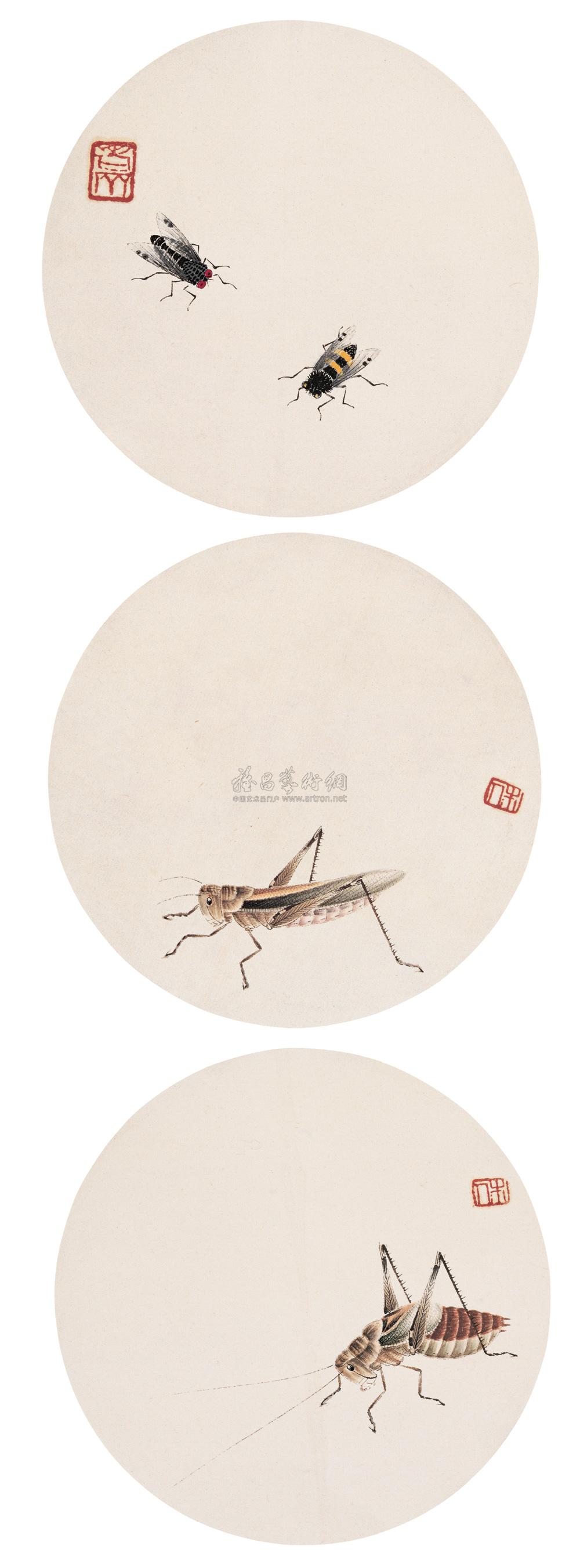 0148工笔草虫镜心三张圆光工笔设色纸本
