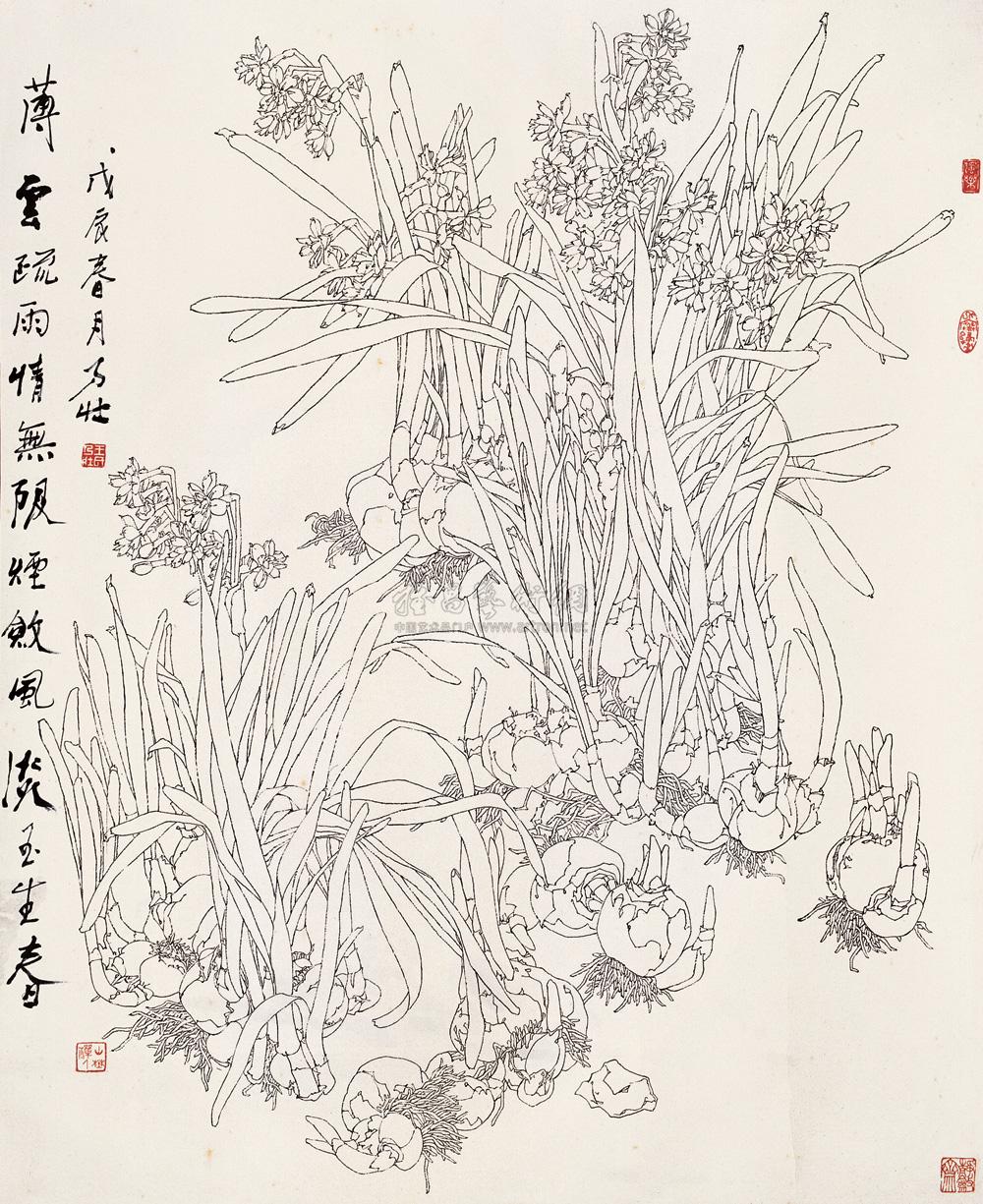 0910白描水仙立轴纸本