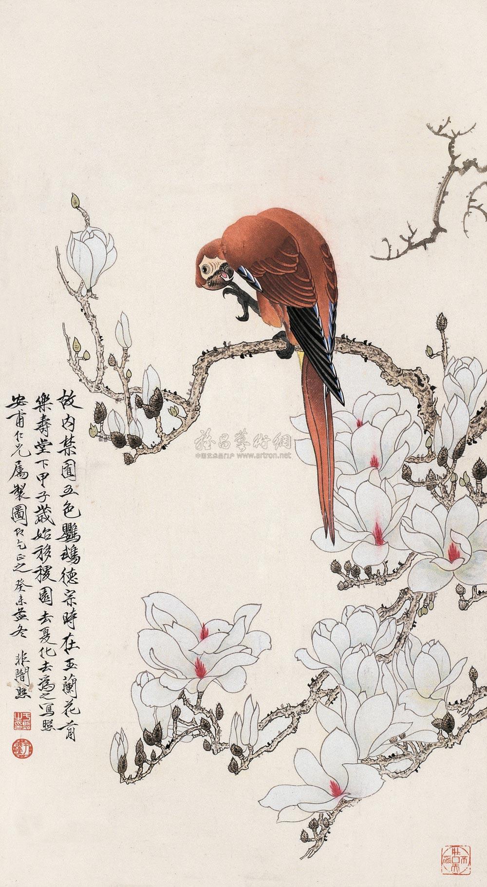 【鹦鹉玉兰 镜心 设色纸本】拍卖品_图片_价格_鉴赏_绘画_雅昌艺术品