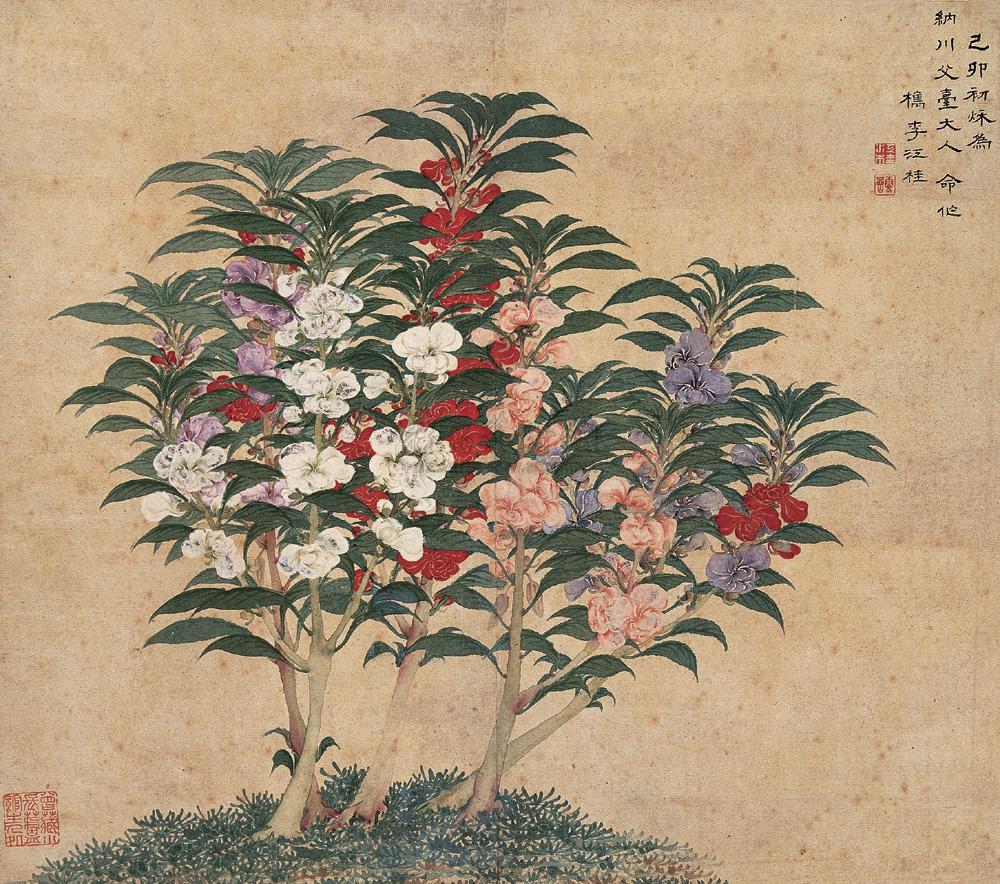 3084 凤仙花 立轴 纸本