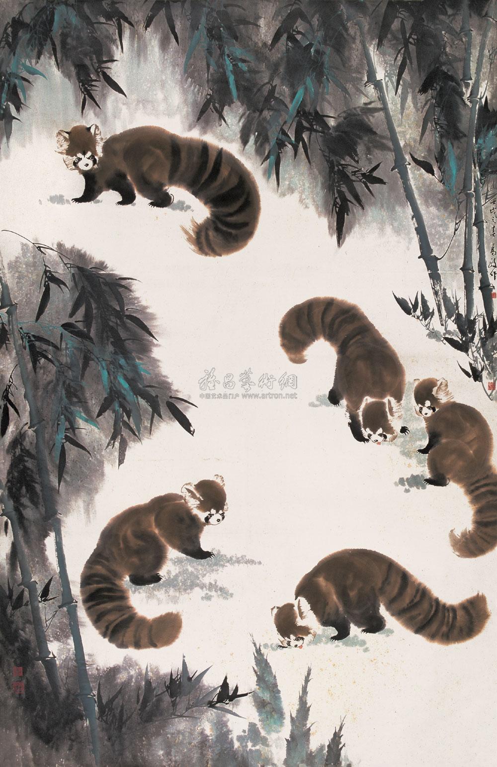 小熊猫福彩第338期图谜图片