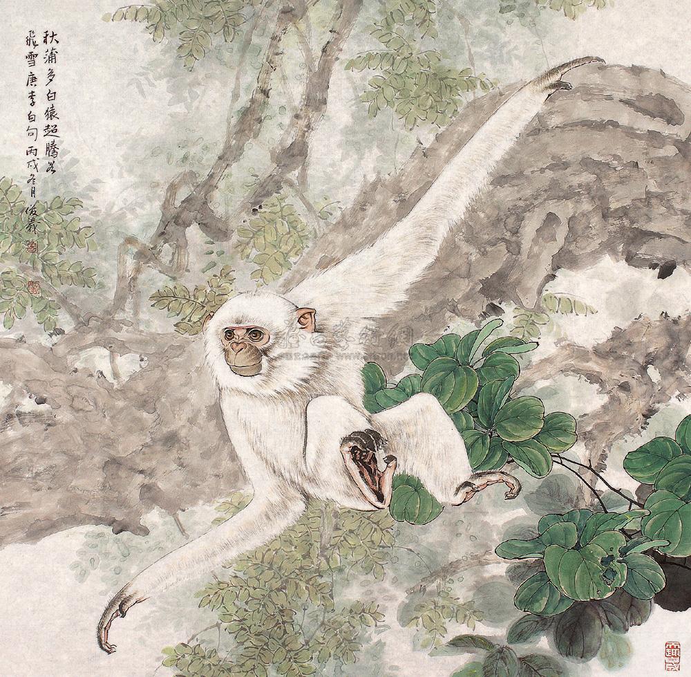 0215 丙戌(1996)年作 白猿 镜心 设色纸本