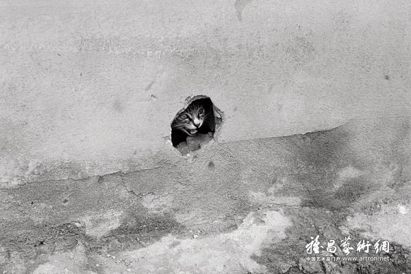 "四季平安"付羽摄影作品展