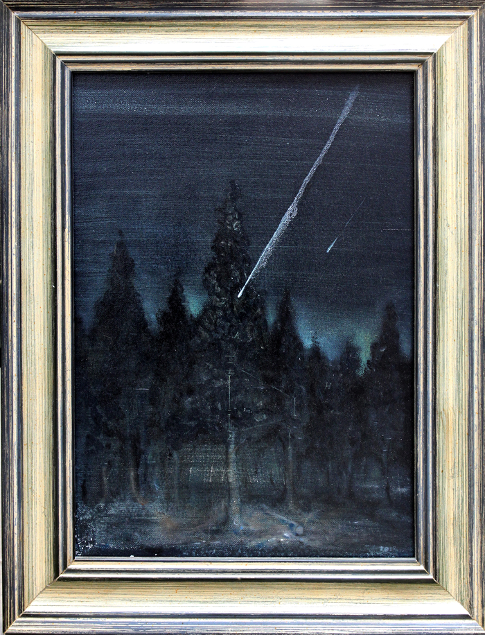 流星2012 30×40cm 布面油画