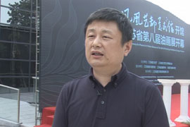 凤凰艺都美术馆开馆专访赵力
