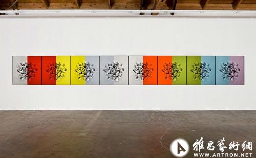 凯瑟琳·安德鲁斯最新作在美国展出