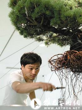 日本植物雕塑：空中的青青世界