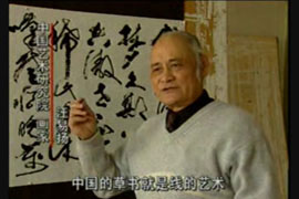 《中国风——狂草书画家汪易扬》