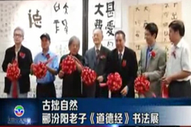 古拙自然 郦汾阳老子《道德经》书法展