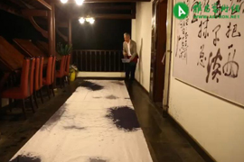 陈家泠—国画之温故创新