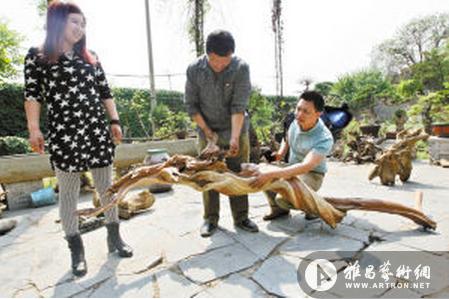 高恒的中国梦：创建崖柏根雕艺术博物馆